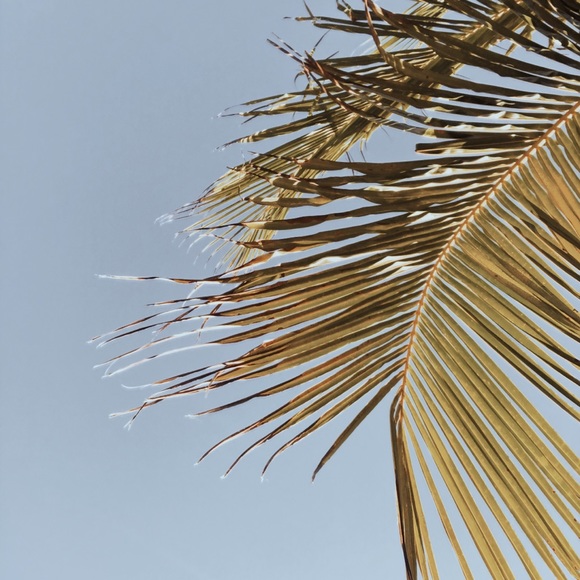 Meet your Posher, Ninz - Picture 1 of 1